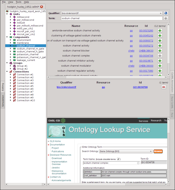 ../_images/metadata-opencor-annotating.png